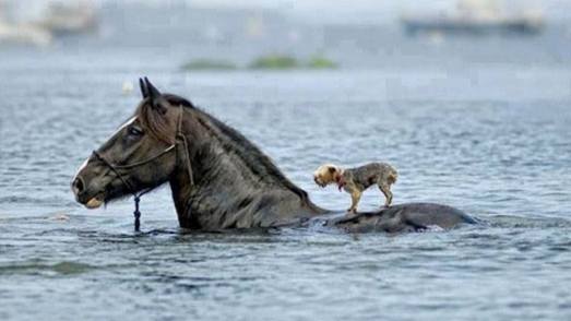 13626967_10155056562334922_1162615750005991170_n